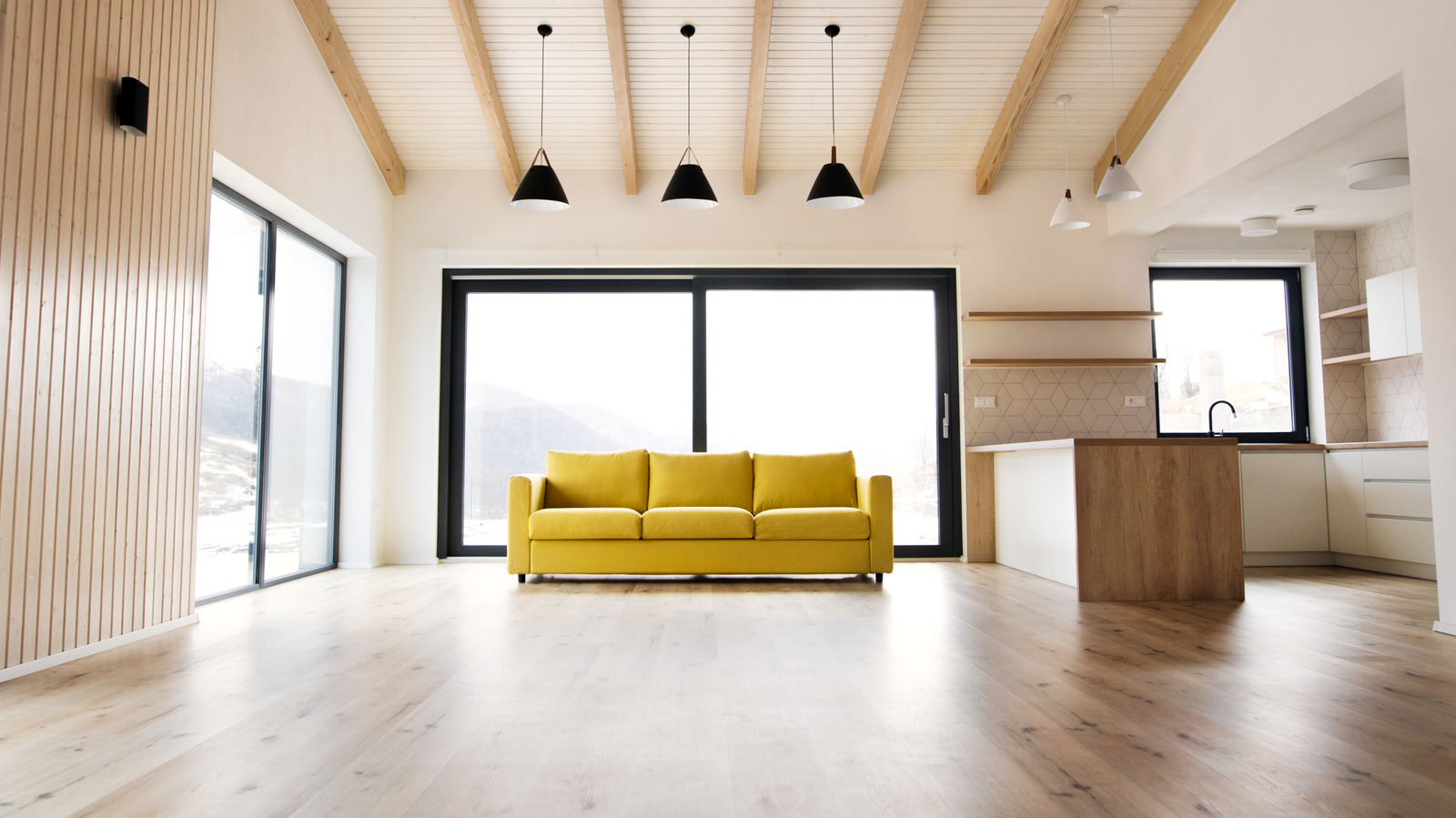 أفضل النباتات الداخلية التي يمكنك استخدامها لملء المساحة في أصيص كبير