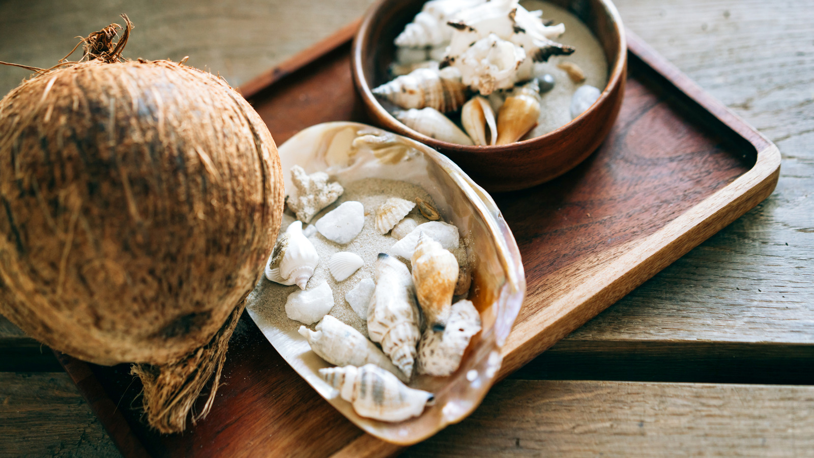 الطريقة الذكية التي يمكن أن يجلبها الصدف القديم الطيور إلى فناءك