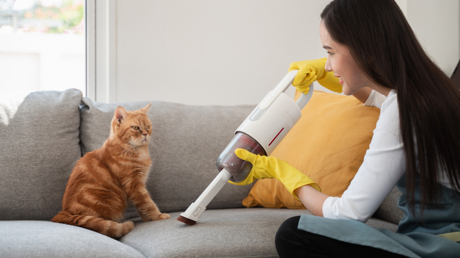 هل تحتاج حقًا إلى فراغ الحيوانات الأليفة لمعالجة فوضى صديقك الفروي؟