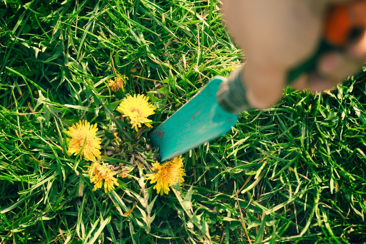 حيلة بسيطة تمنع