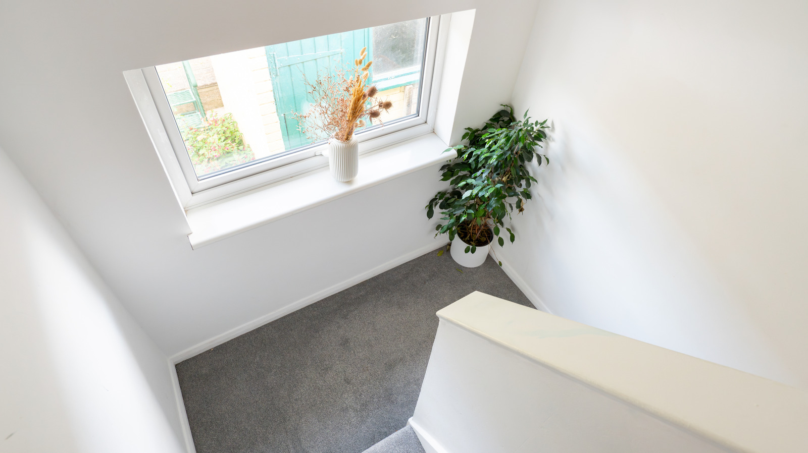 اجعل نصف الأراضي أكثر تماسكًا مع اختراقات الألوان البسيطة