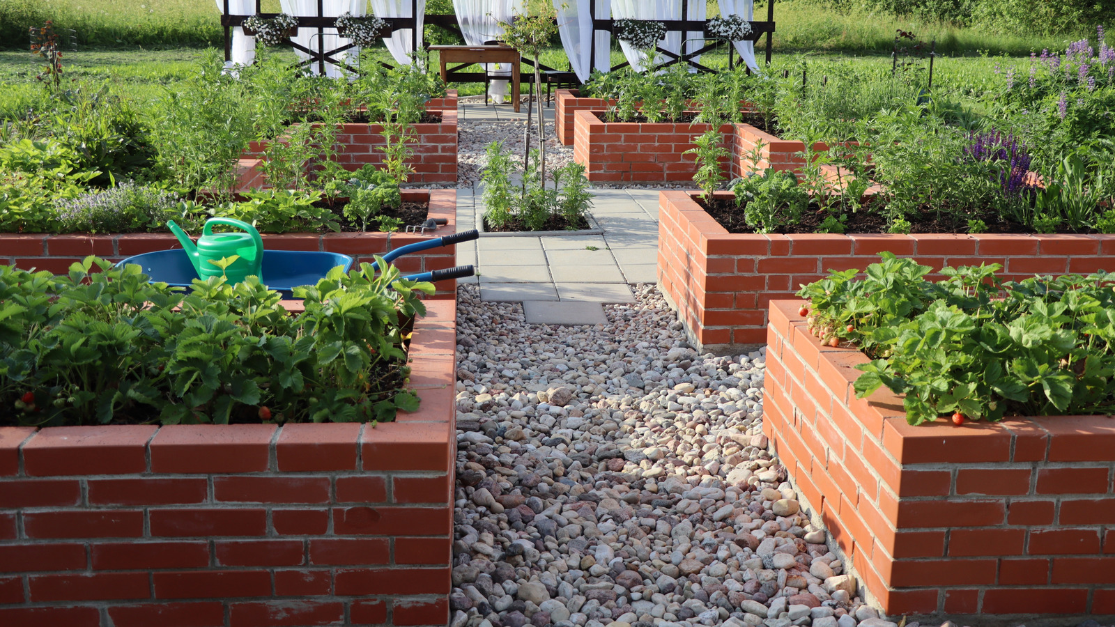 تجنب زراعة هذه النباتات الـ 12 في أسرة الحديقة المرتفعة بأي ثمن