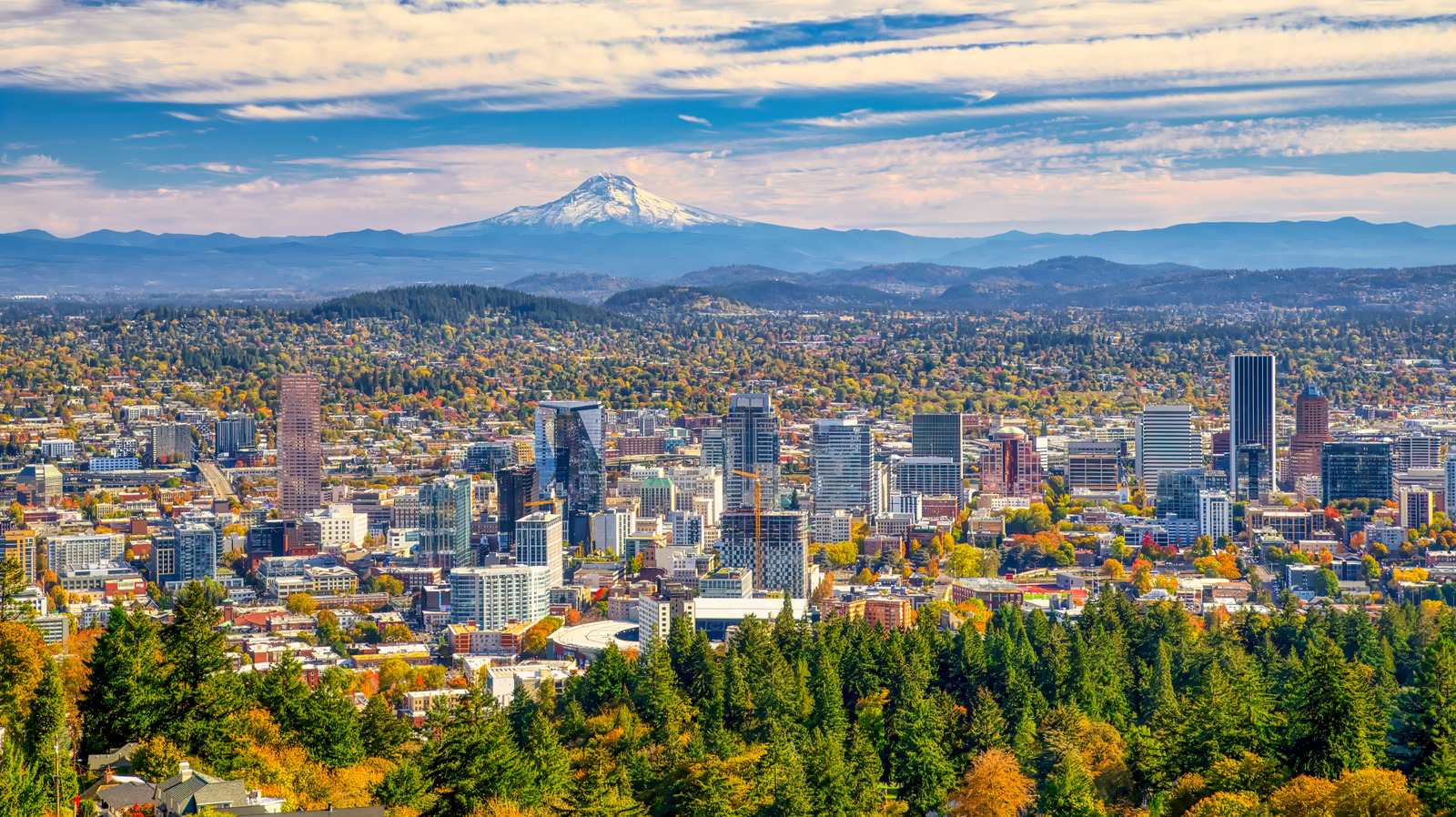 هذا النمط المنزلي هو قيمة كبيرة على الساحل الغربي