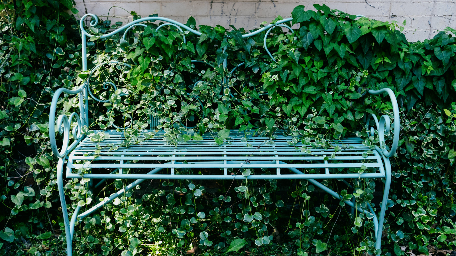 يتولى هذا الاتجاه الأثاث الخارجي الآن التصميمات الداخلية - وهذا هو السبب في أنه يعمل بشكل جيد