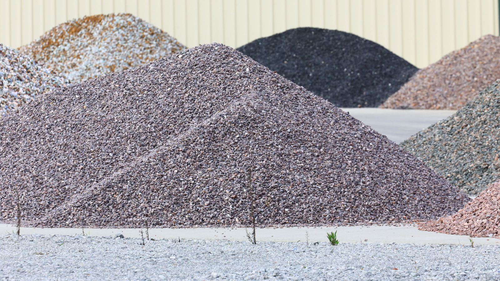 صغير مقابل الحصى الكبير: كيف تعرف ما هو الأفضل لمشروعك