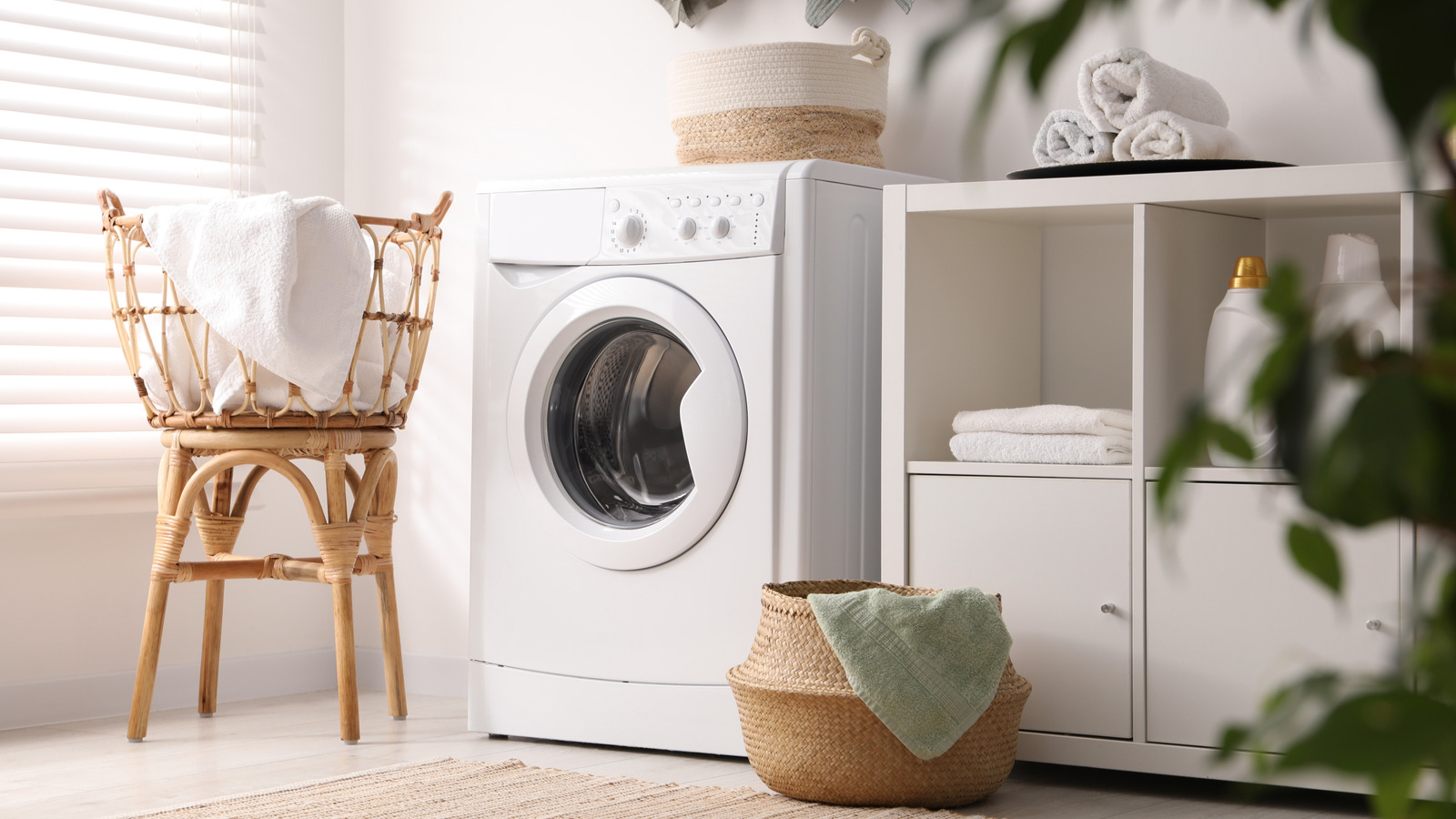 قم بتحويل غسيل الأشجار بالدولار الضروري إلى تخزين منزلي وظيفي وأنيق