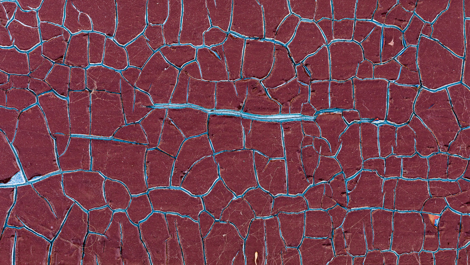 ماذا يعني إذا كان الطلاء الخاص بك "التماسيح" (وهل من المرجح أن يحدث في الصيف؟)