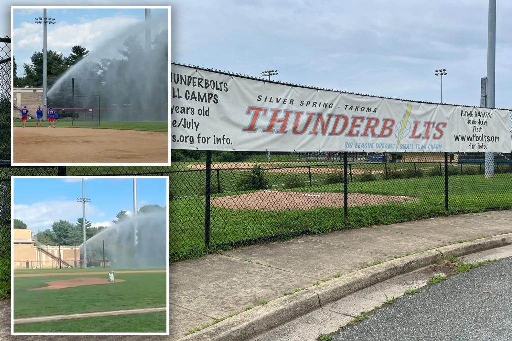 يضرب رجال الإطفاء ملعب البيسبول بعد أن ضربت كرة كريهة سيارته خلال مباراة جماعية في MD.