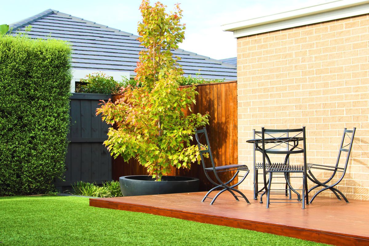 أفضل الأشجا