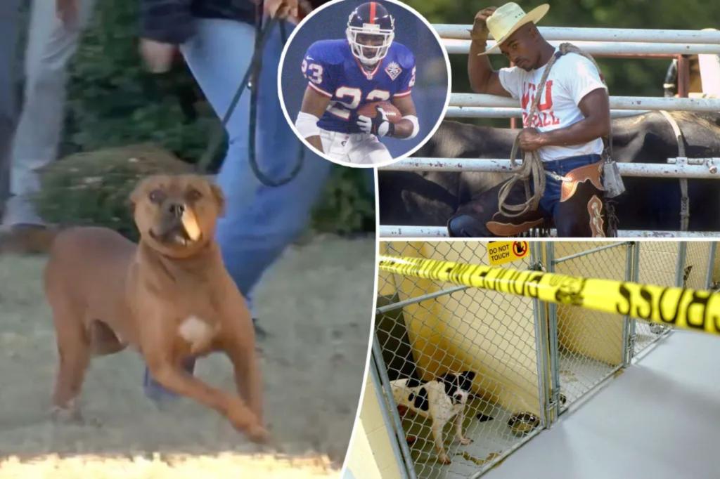 داخل خاتم الكلاب السابق لاعب NFL Leshon Johnson