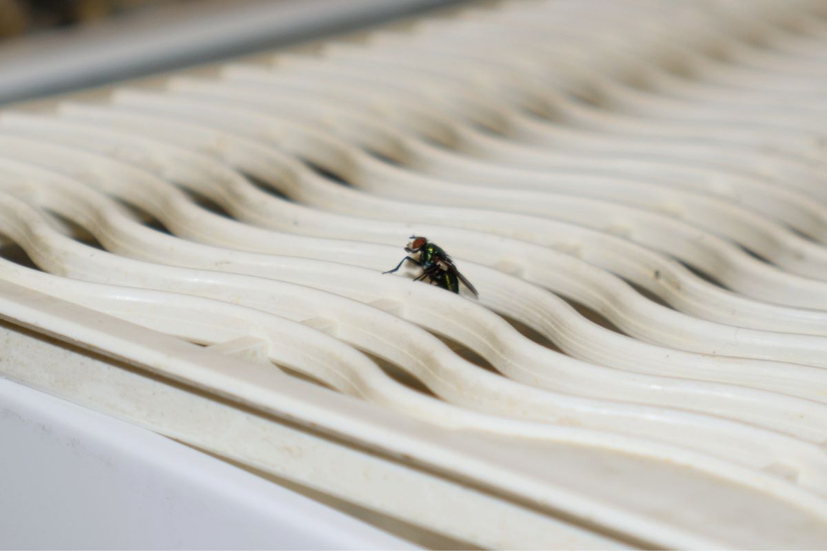 حيلة بسيطة بـ 0 يورو