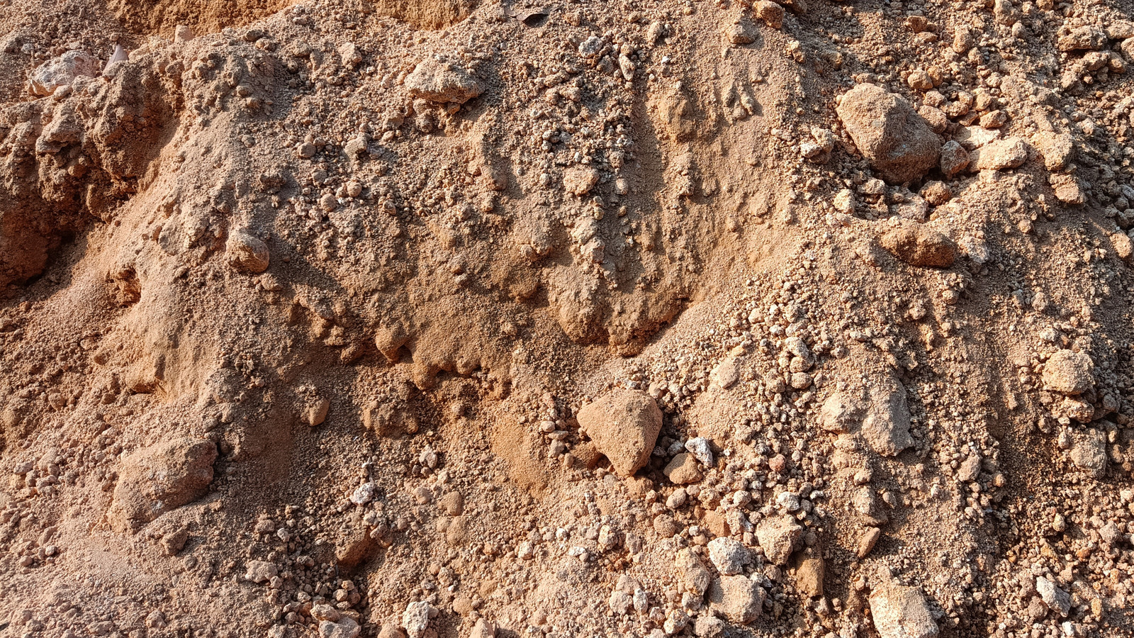 الإصلاح البسيط الذي يحتاجه التربة الصخرية الخاصة بك لمساعدة حديقتك على الازدهار