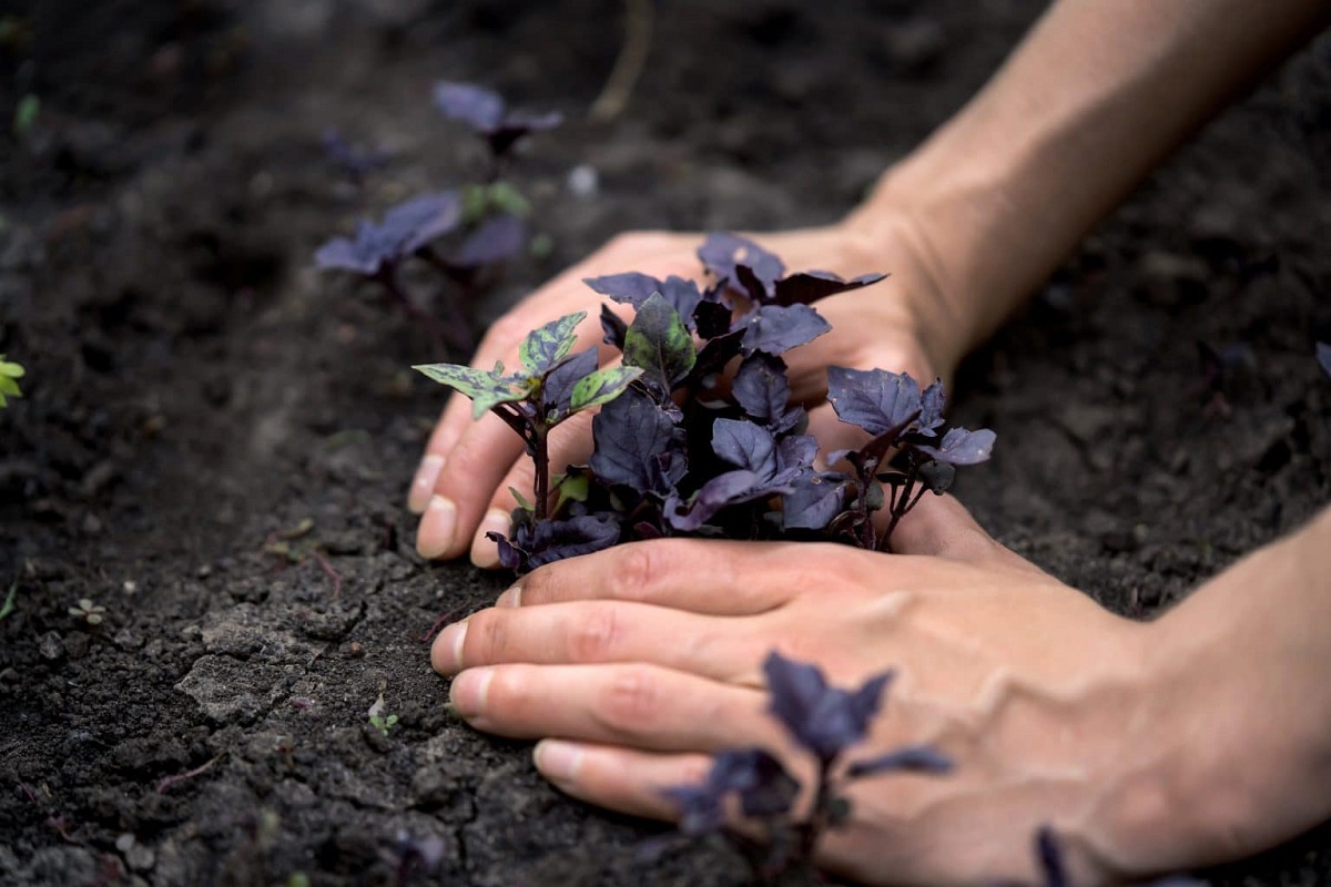 تبقّى فقط أيام قليلة لز