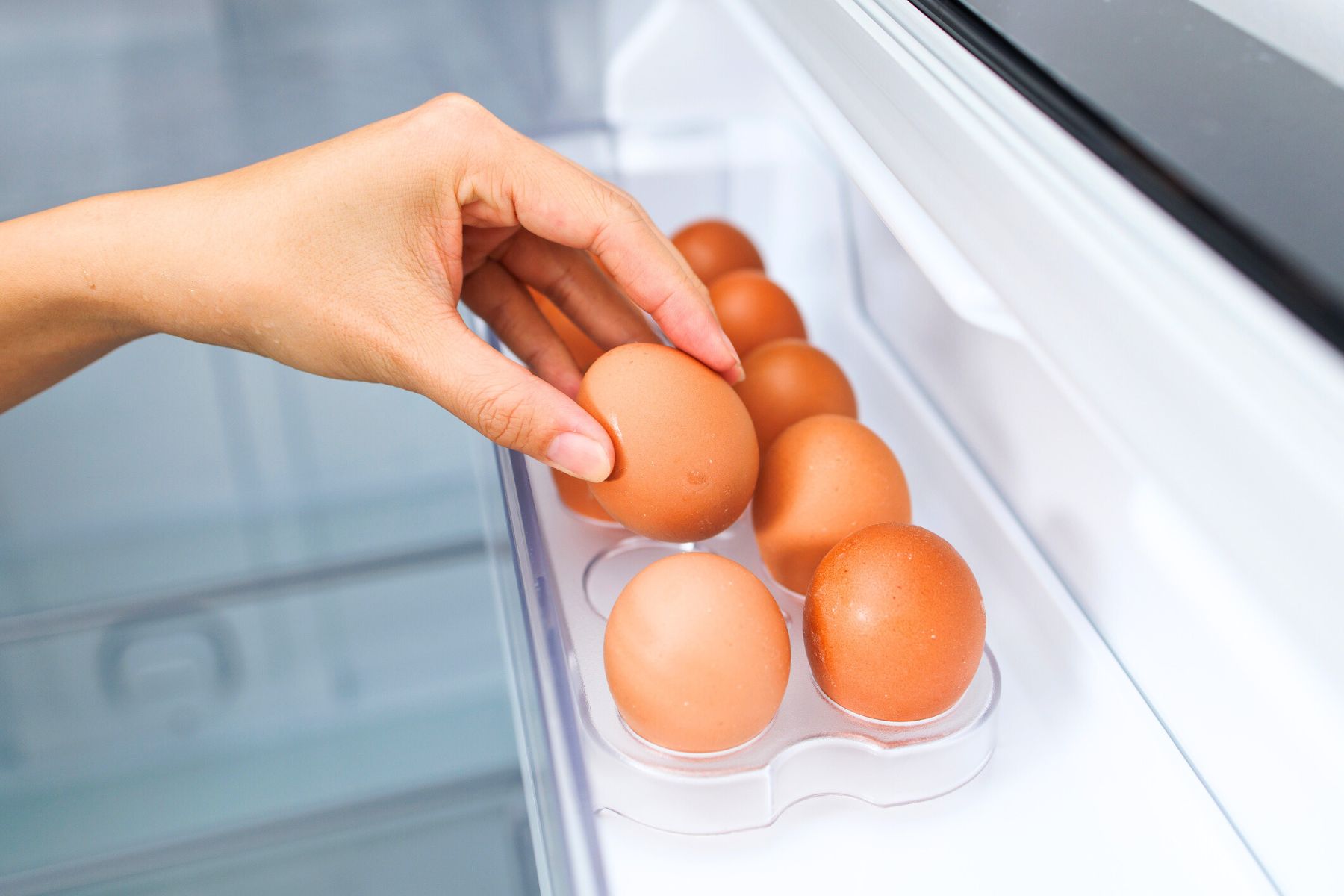 حامل البيض في ثلاجتك