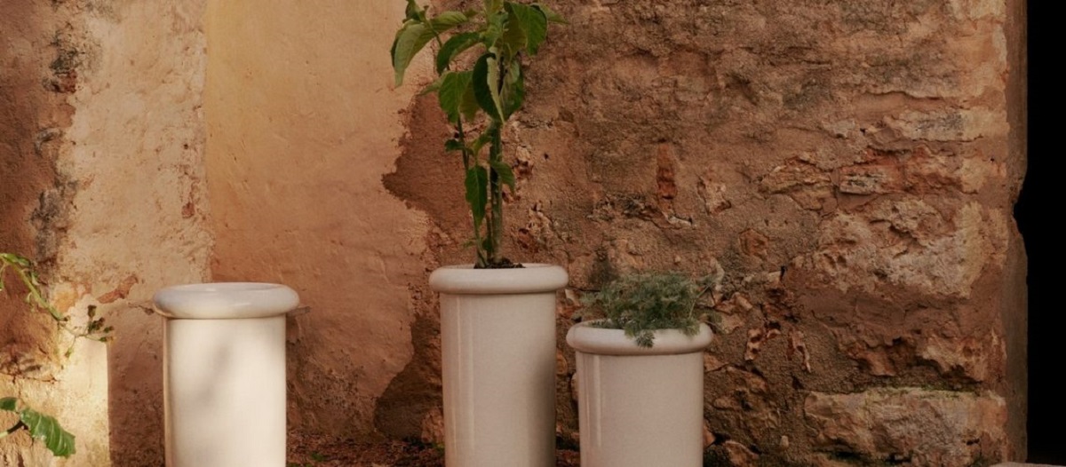 نبتة على شر