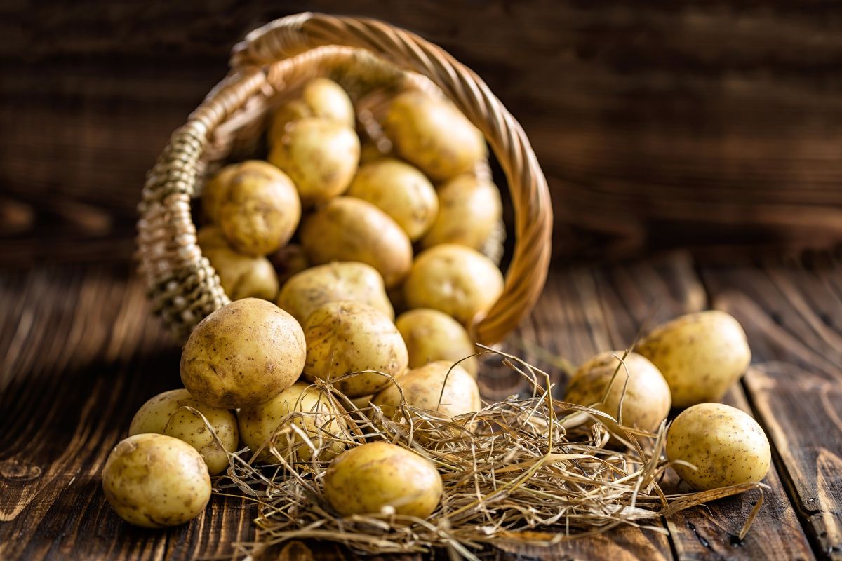 كيف تمنع البطاطس من