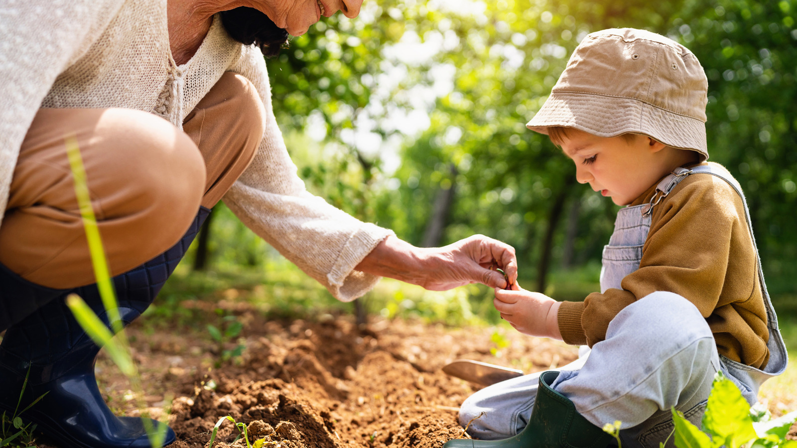 الخضار الصلبة التي يجب أن تزرعها هذا الخريف