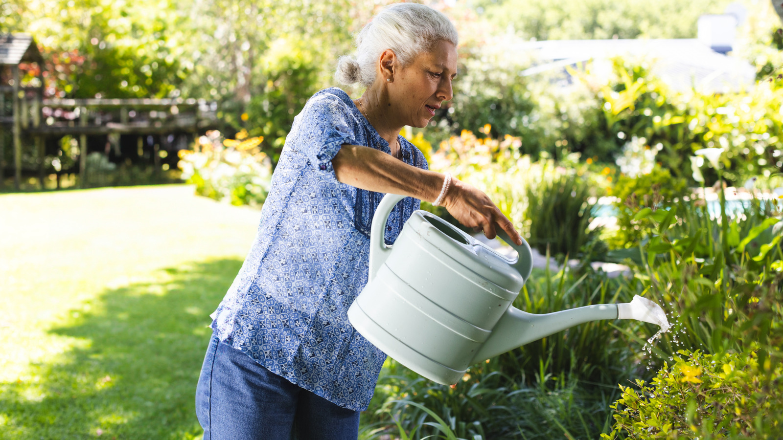 حب الملقحات شجيرة الزينة التي يمكن أن تردع البراغيث بشكل طبيعي من الفناء الخاص بك