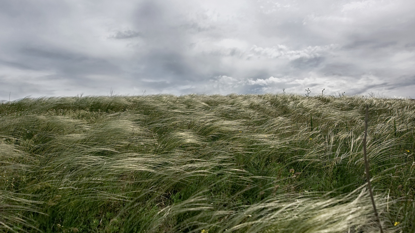 حماية حديقتك من الظروف الجوية المذهلة مع هذا التكتيك