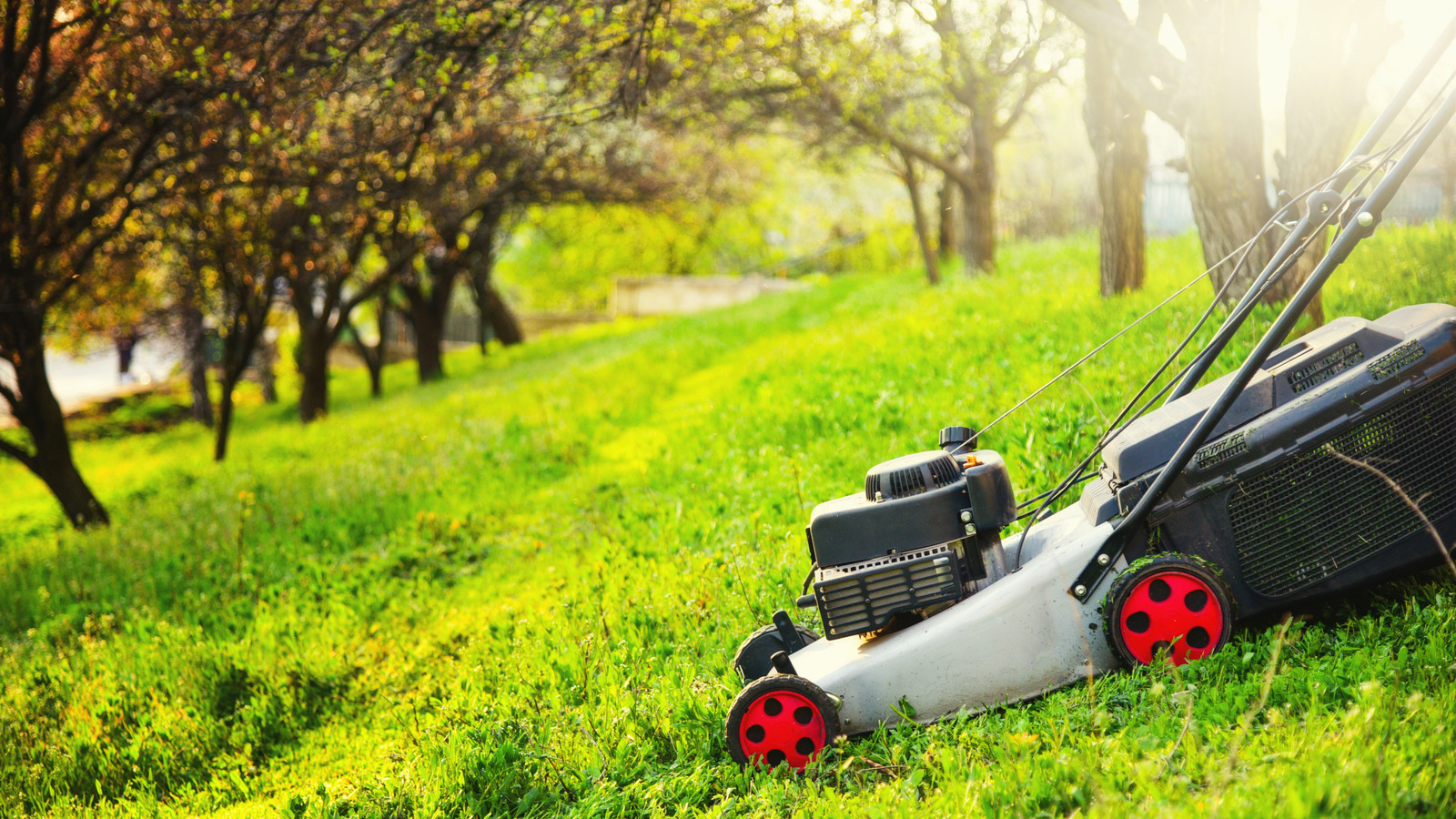 كيفية جز العشب الخاص بك على تل شديد الانحدار (الطريقة الآمنة)