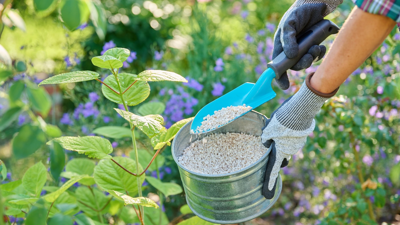 نوع الأسمدة التي يجب عليك تجنب استخدامها في حرارة عالية بأي ثمن