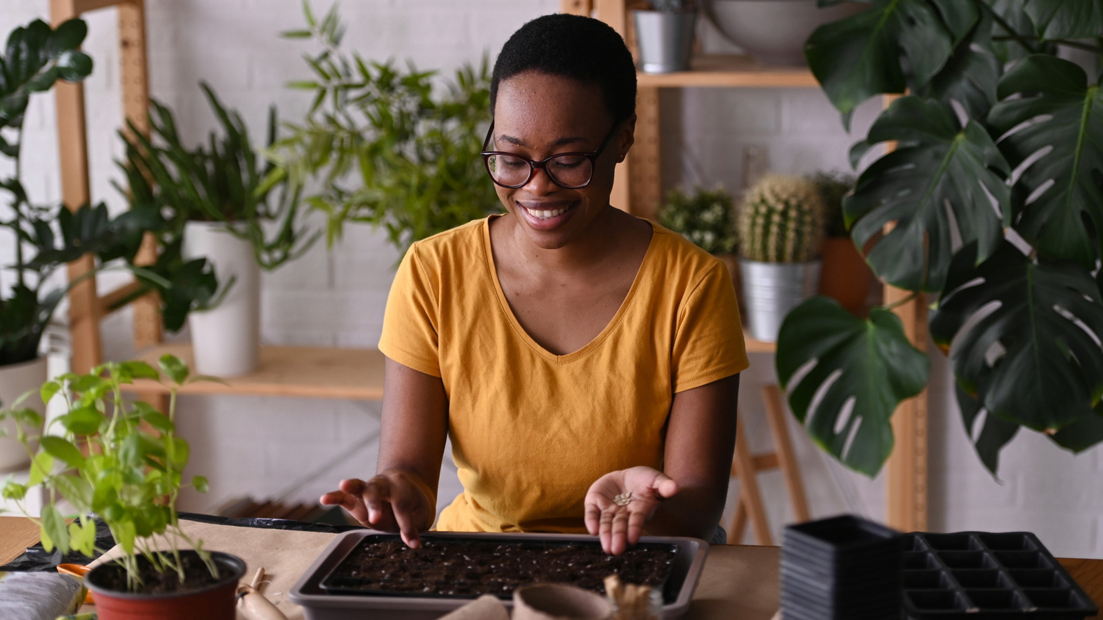 خضروات الحديقة الشائعة التي يمكنك زراعتها في الداخل في الشتاء