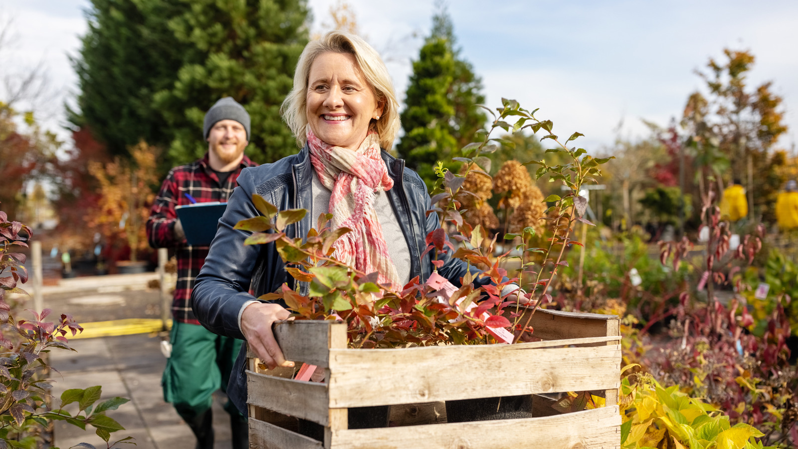 زهور سريعة النمو لا يزال بإمكانك زراعتها في أكتوبر