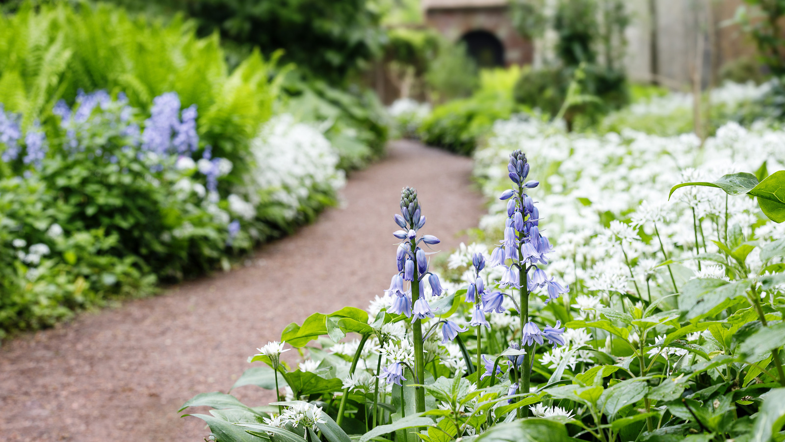 فكرة لمسار حديقة TikTok مناسبة للميزانية يمكنك تجربتها في حديقتك
