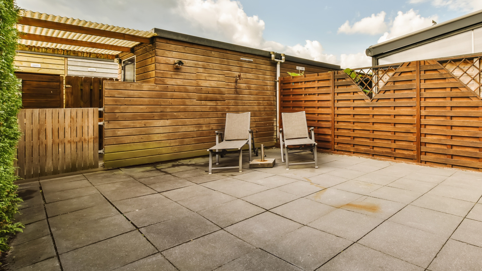 كيف يمكن للفناء الذي يحتوي على القليل من العشب أن يجذب الملقحات