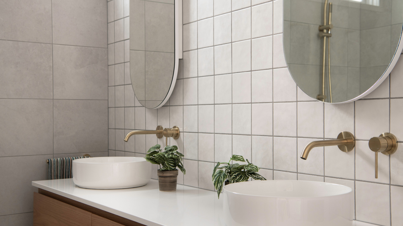 علامات تشير إلى أن جص البلاط الخاص بك قد يكون مأويًا للعفن