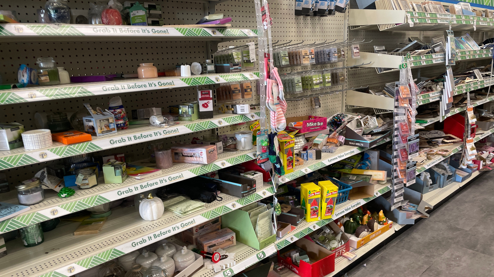 عنصر الحمام ذو شجرة الدولار الذي يمكن استخدامه كمزهرية مركزية مثالية