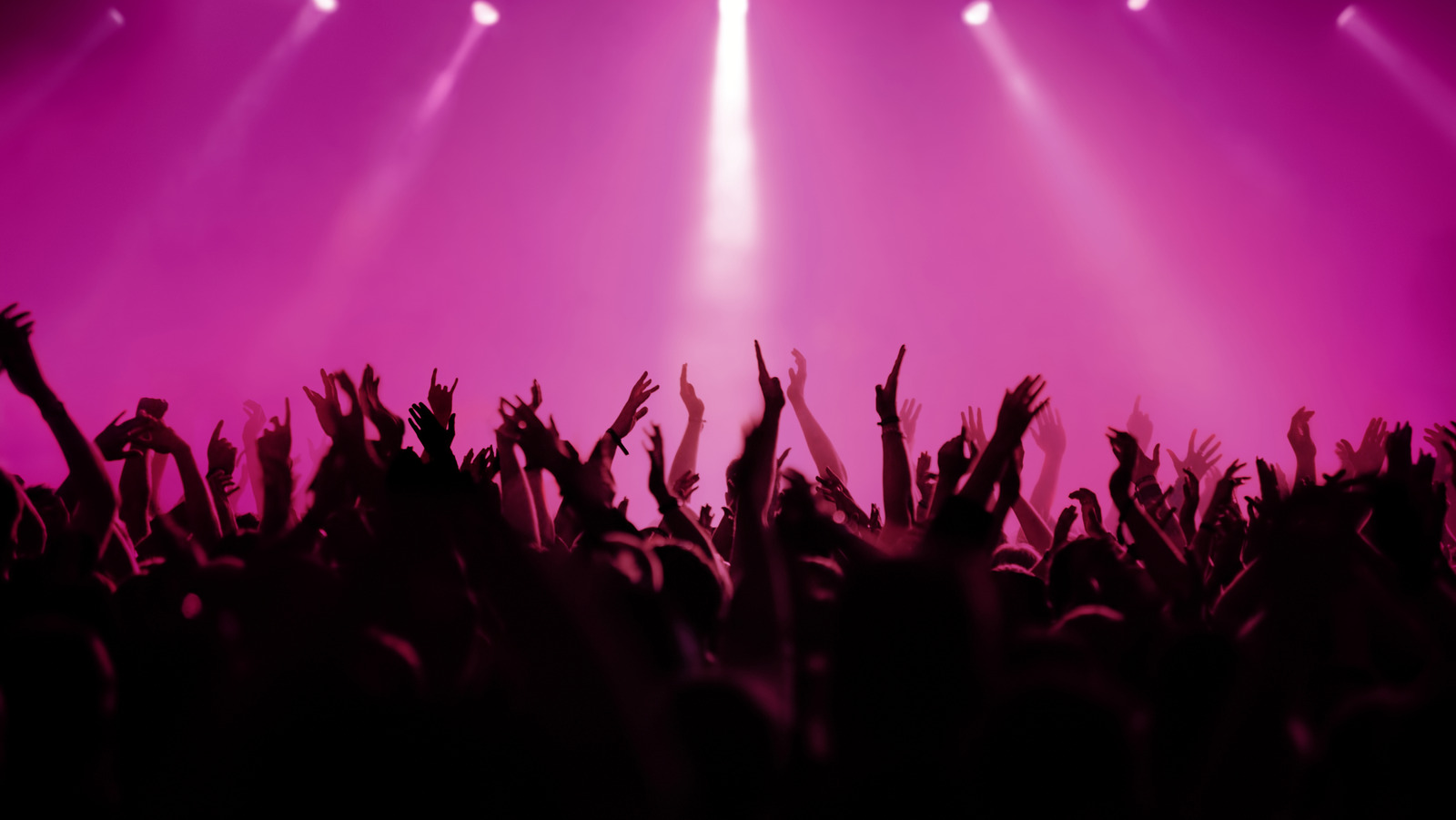 فرقة الثمانينات هذه تستحق العودة بكل جهد