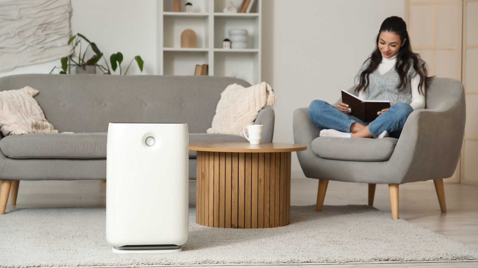 أجهزة تنقية الهواء وحدها لن تخلص منزلك من الغبار. أضف هذه الأعمال الروتينية إلى روتين التنظيف الخاص بك