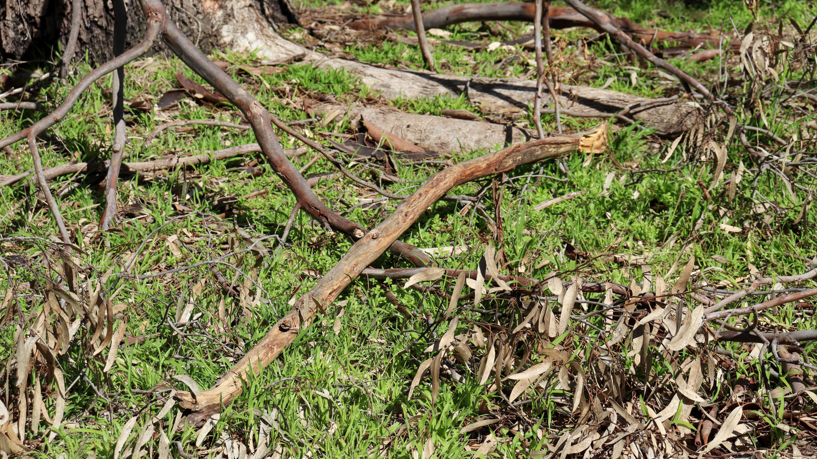 أداة شحن الموانئ شديدة التحمل والمصممة لتنظيف الفناء