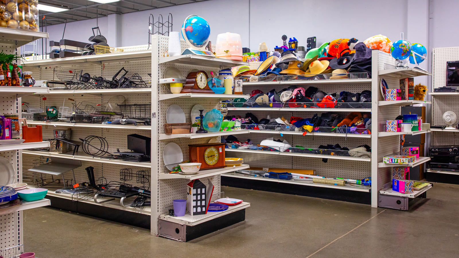 أساسيات الحديقة التي يمكنك توفيرها في شهر فبراير في الوقت المناسب لفصل الربيع