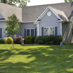 الخطوة الحاسمة للعناية بالعشب والتي تبدأ في شهر مارس للحصول على عشب صحي طوال الموسم