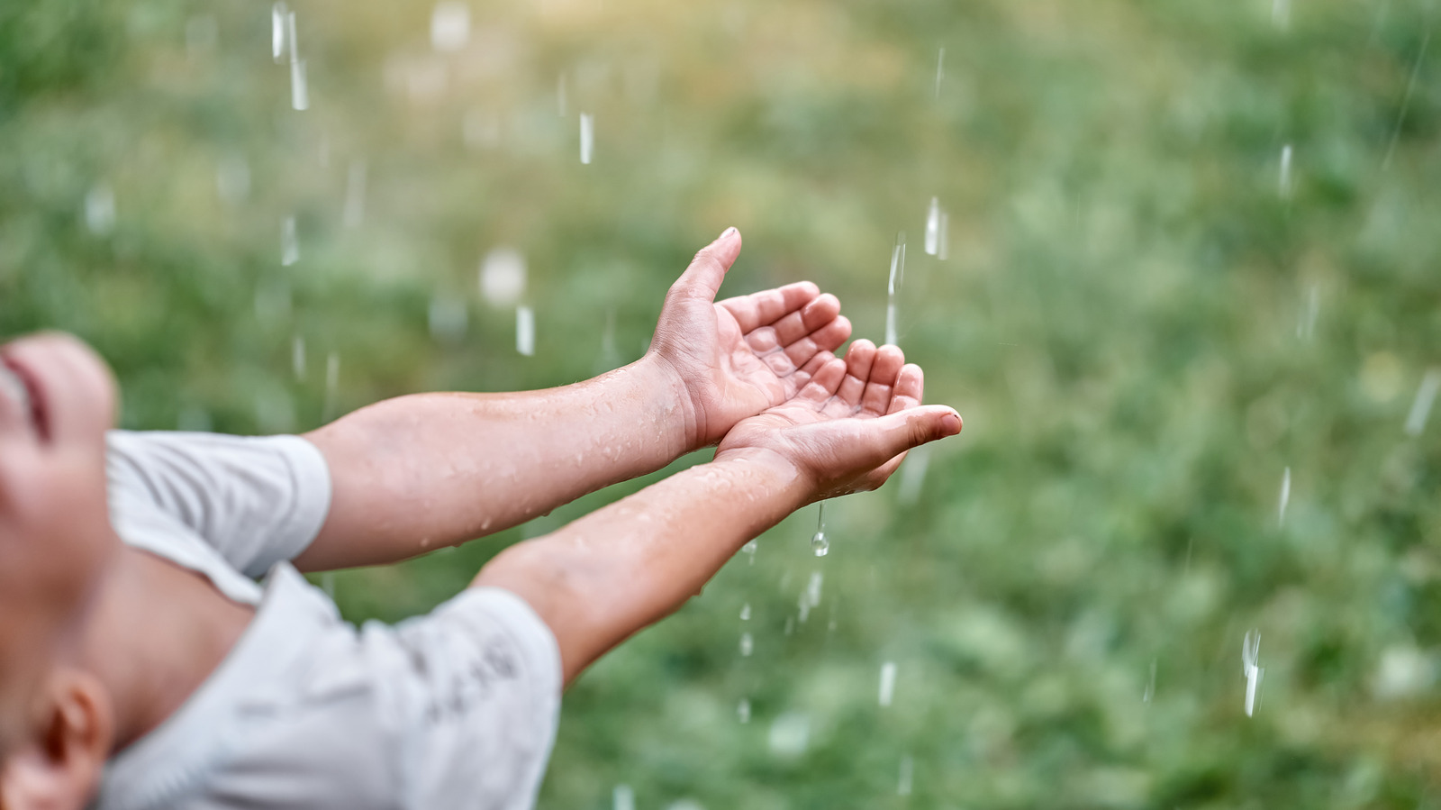 حافظ دائمًا على رطوبة حديقتك باستخدام طريقة تجميع مياه الأمطار