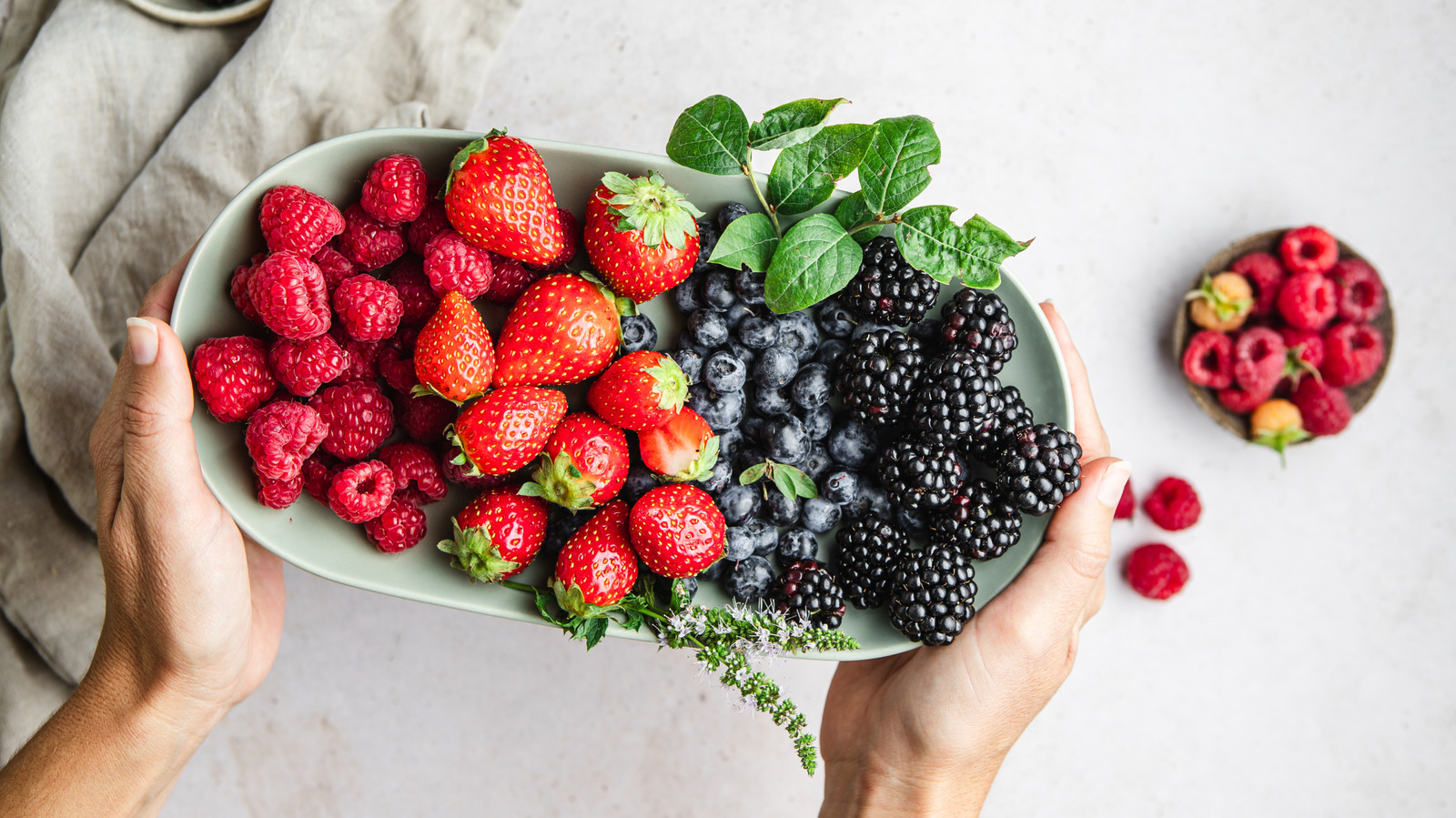 شجرة التوت اللذيذة التي يمكنك زراعتها في أصص للحصول على فواكه محلية لذيذة