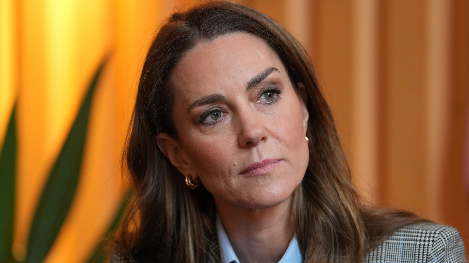 كشف كحول كيت ميدلتون يثير معركة عامة أخرى حول صحتها - كفى