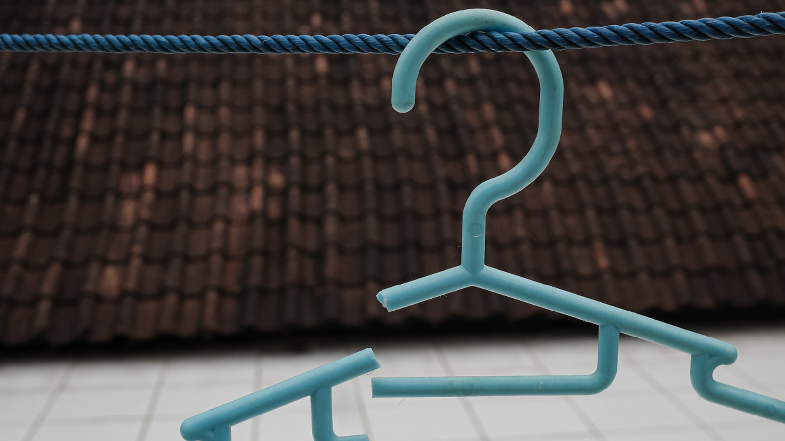 لا تتخلص من تلك العلاقة المكسورة - استخدم شجرة الدولار الذكية هذه التي يمكنك صنعها بنفسك للحفاظ على تنظيم الأشياء