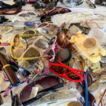 وداعًا لفوضى النظارات الشمسية، جرب هذا بنفسك باستخدام أداة مطبخ شجرة الدولار