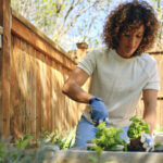 أفضل 9 أعشاب يجب أن تزرعها في شهر مايو