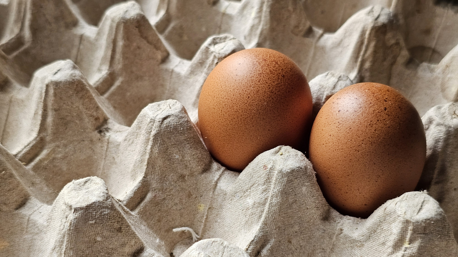 استخدم قصاصات كرتون البيض والكرتون لصنع أجمل إكليل من أزهار النرجس البري