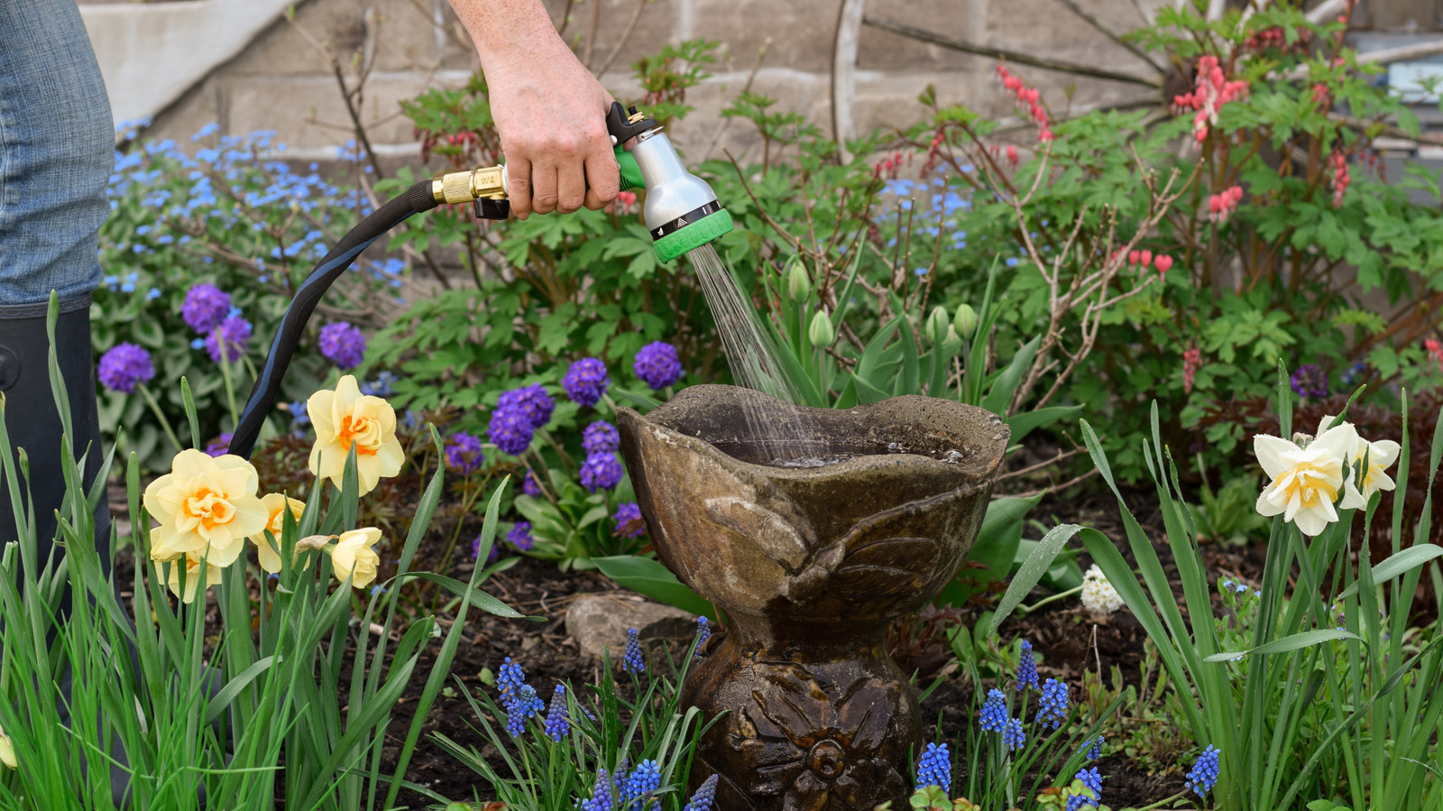 خطأ Birdbath الذي يبقي الطيور بعيدًا