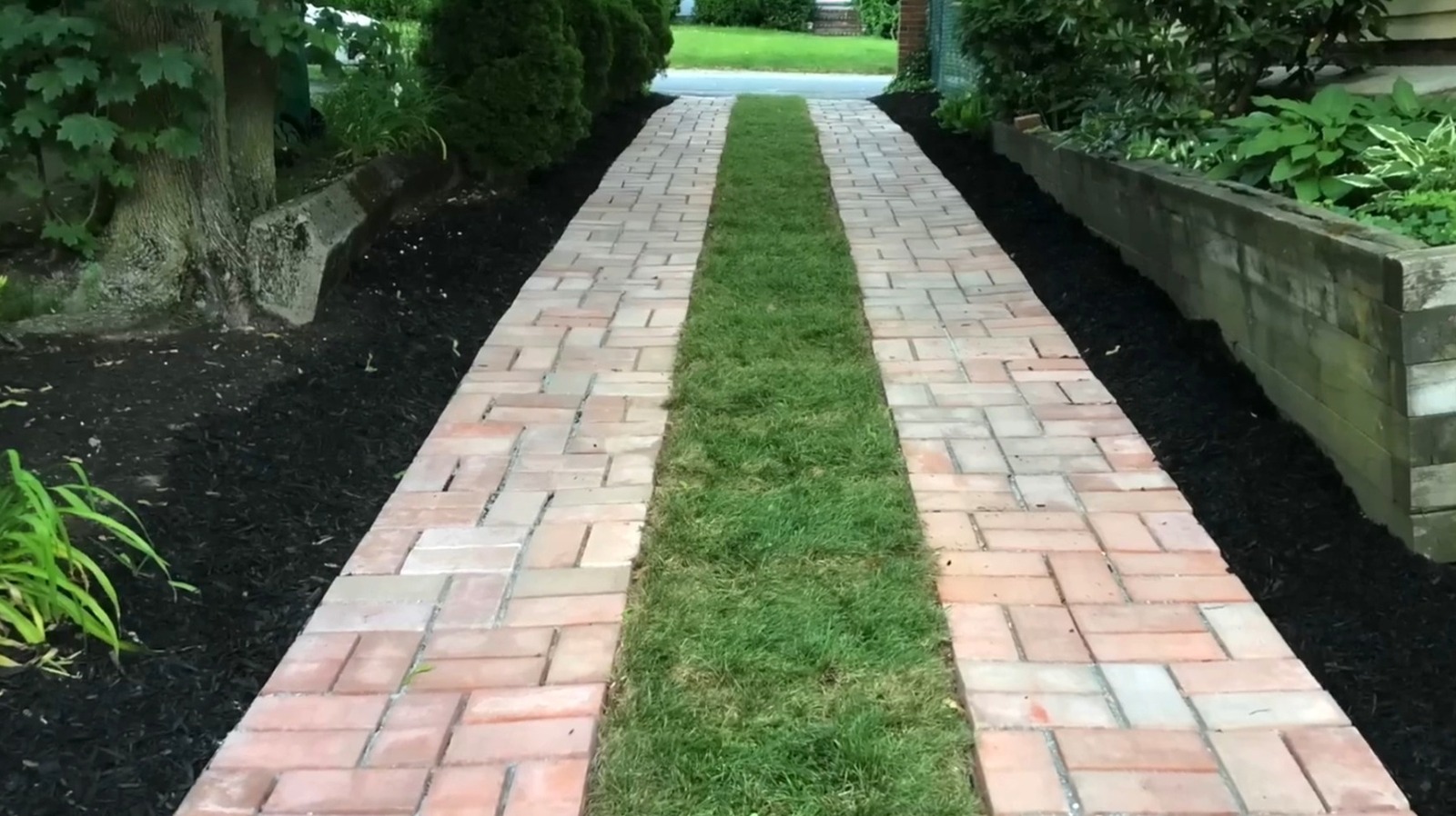 أرضيات الخنادق المملة: فكرة الممر الزهري لإضافة اهتمام بصري إلى حديقتك
