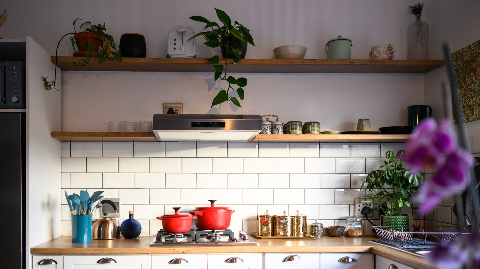 امتلكه الأثرياء في إنجلترا في القرن التاسع عشر - والآن أصبح الديكور الغريب الذي نريده في المطبخ