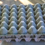 تحويل كرتونة البيض القديمة إلى ديكور جداري معلق باستخدام DIY